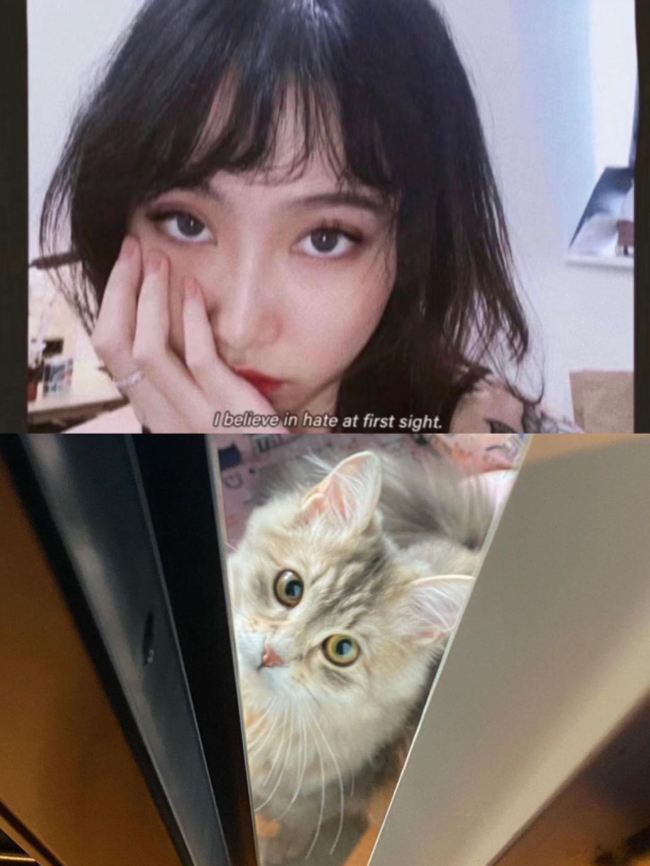 上微博那么久最大的收获是找到了优秀的女朋友，不知不觉在一起一年多啦！ ​​​