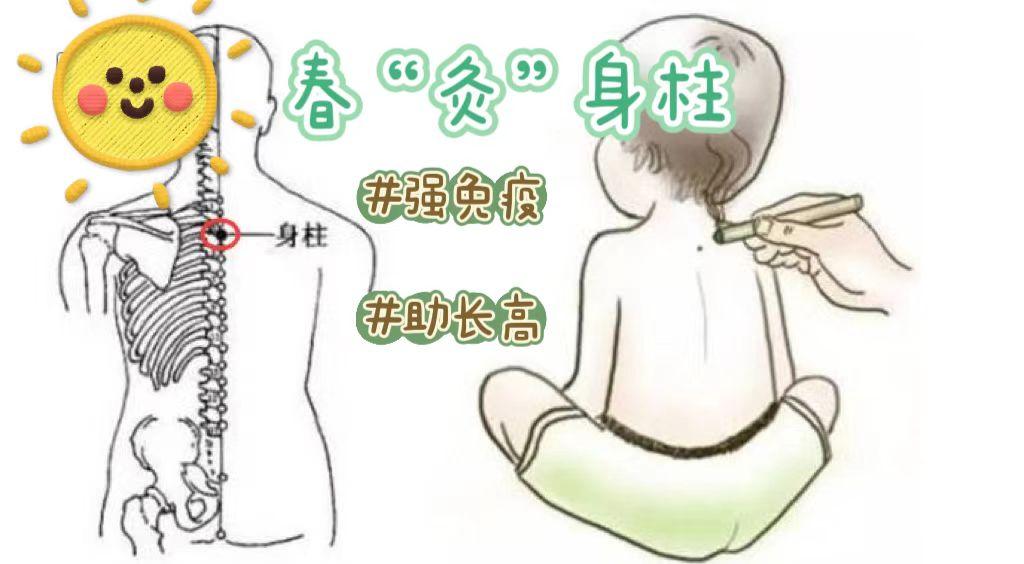 春天快来给孩子“灸”这个穴位，强免疫！助长高！
 
春生夏长，秋收冬藏，春天来了