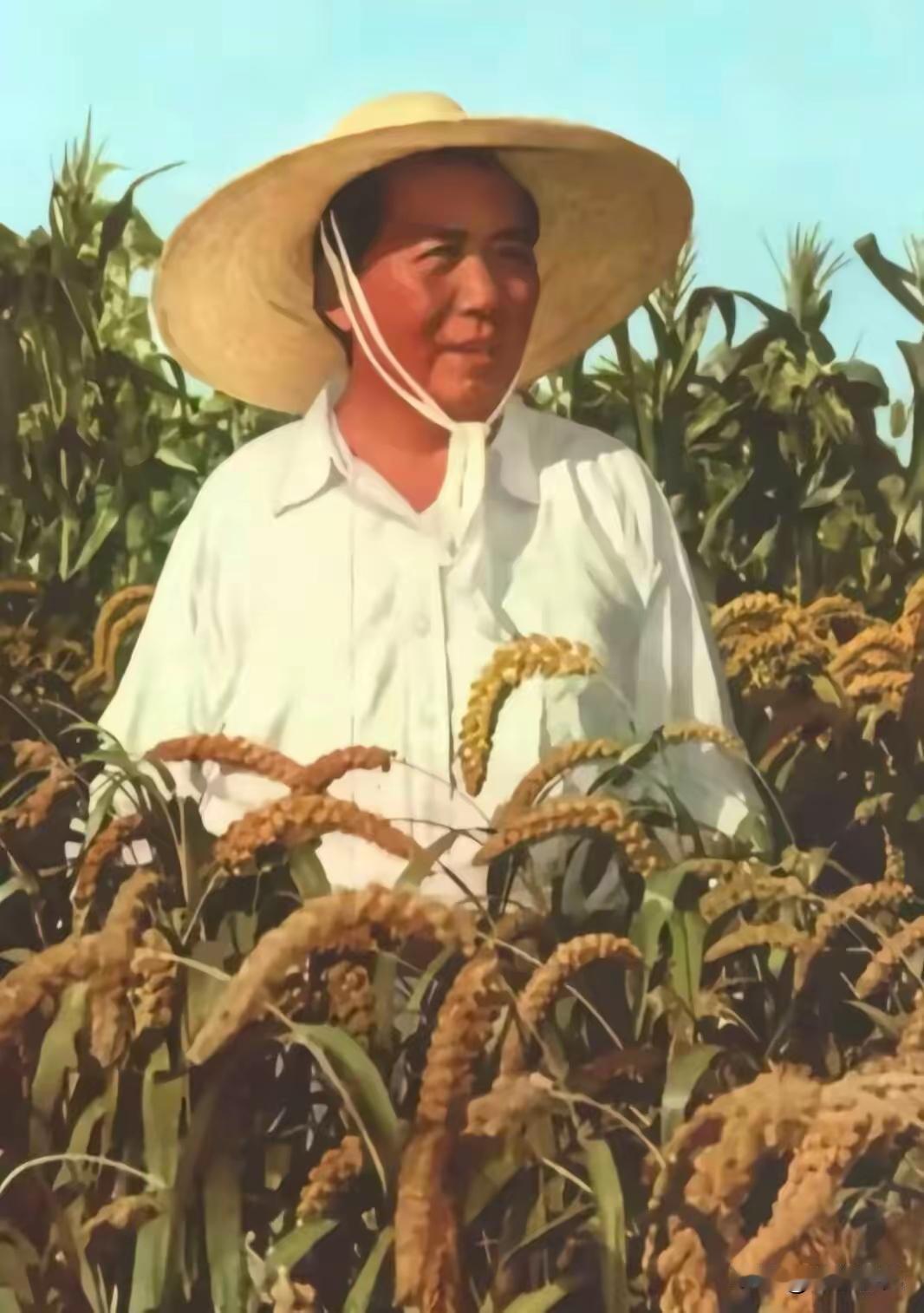 毛主席视察农田，竟让摄影师“别拍我”？一张老照片背后的真相太戳心

炎炎盛夏，一