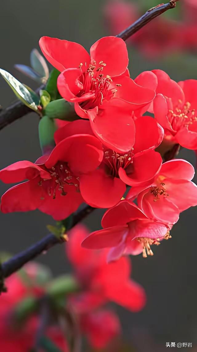 年轻人不愿结婚的真相：不是不想爱，是不敢、不值、耗不起
 
一、经济账算不过来：