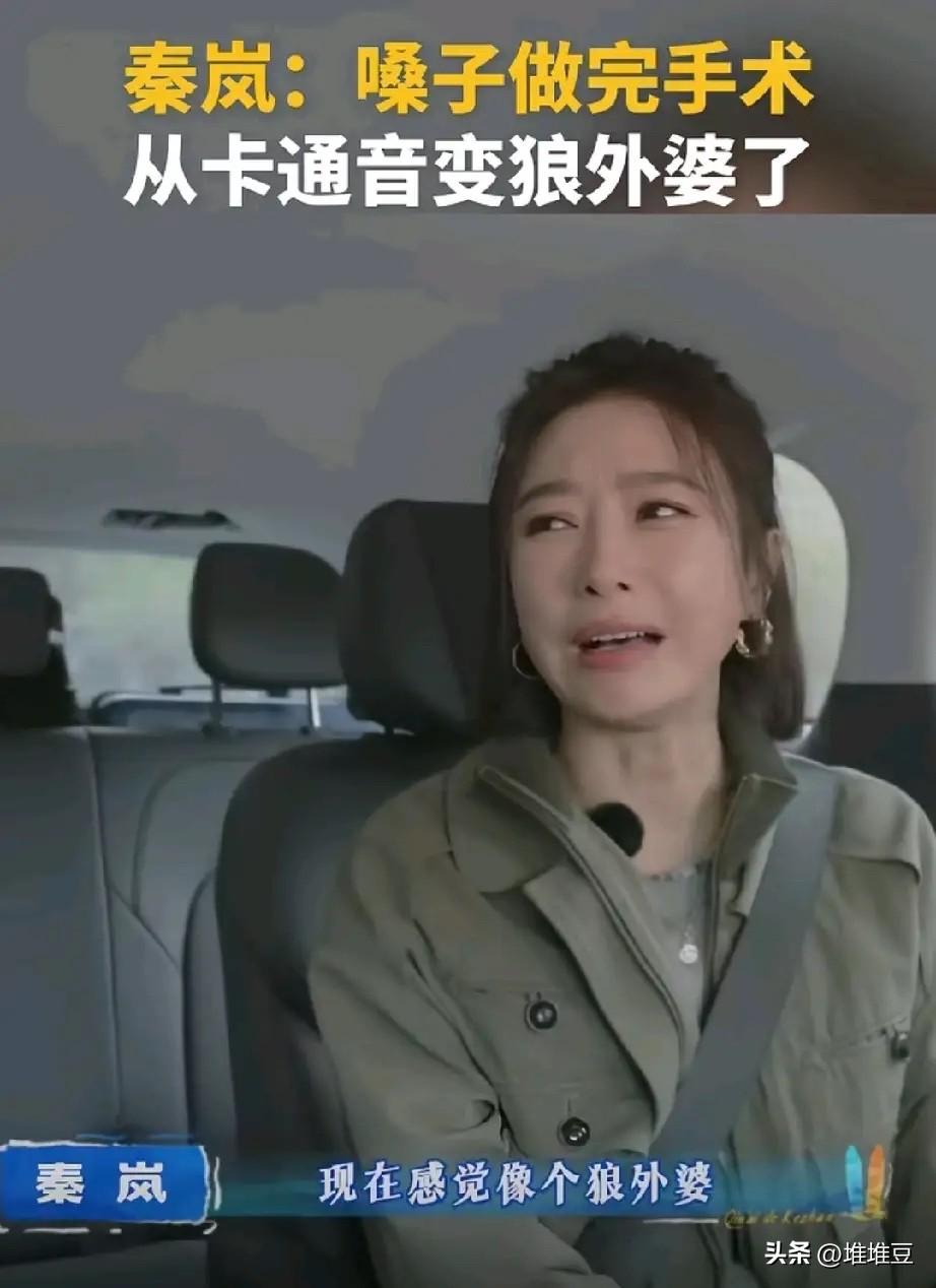 秦岚为节目做手术护嗓，
结果越治越哑，
自嘲从电音朵拉变狼外婆

节目里她一脸无