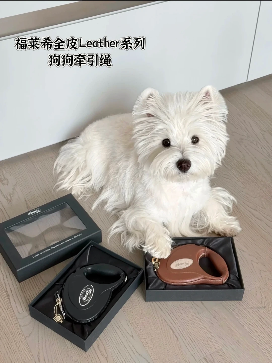 打工人自己喝蜜雪，毛孩子必须用“爱马仕”
