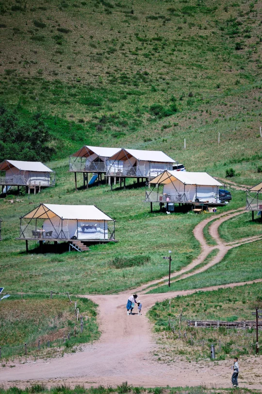 端午在丰宁坝上的盆友▶️收下这份地图攻略