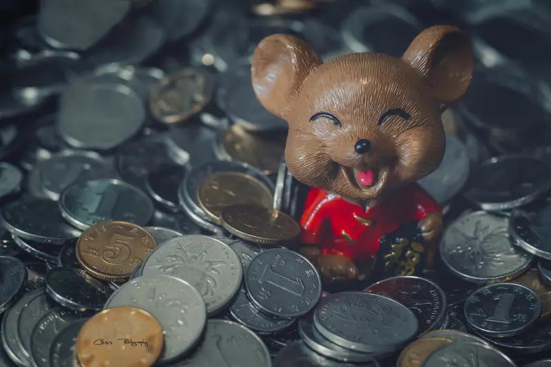 2026最想实现的一件事 2026年，我最想实现的就是有钱！还有不到一个月就到2