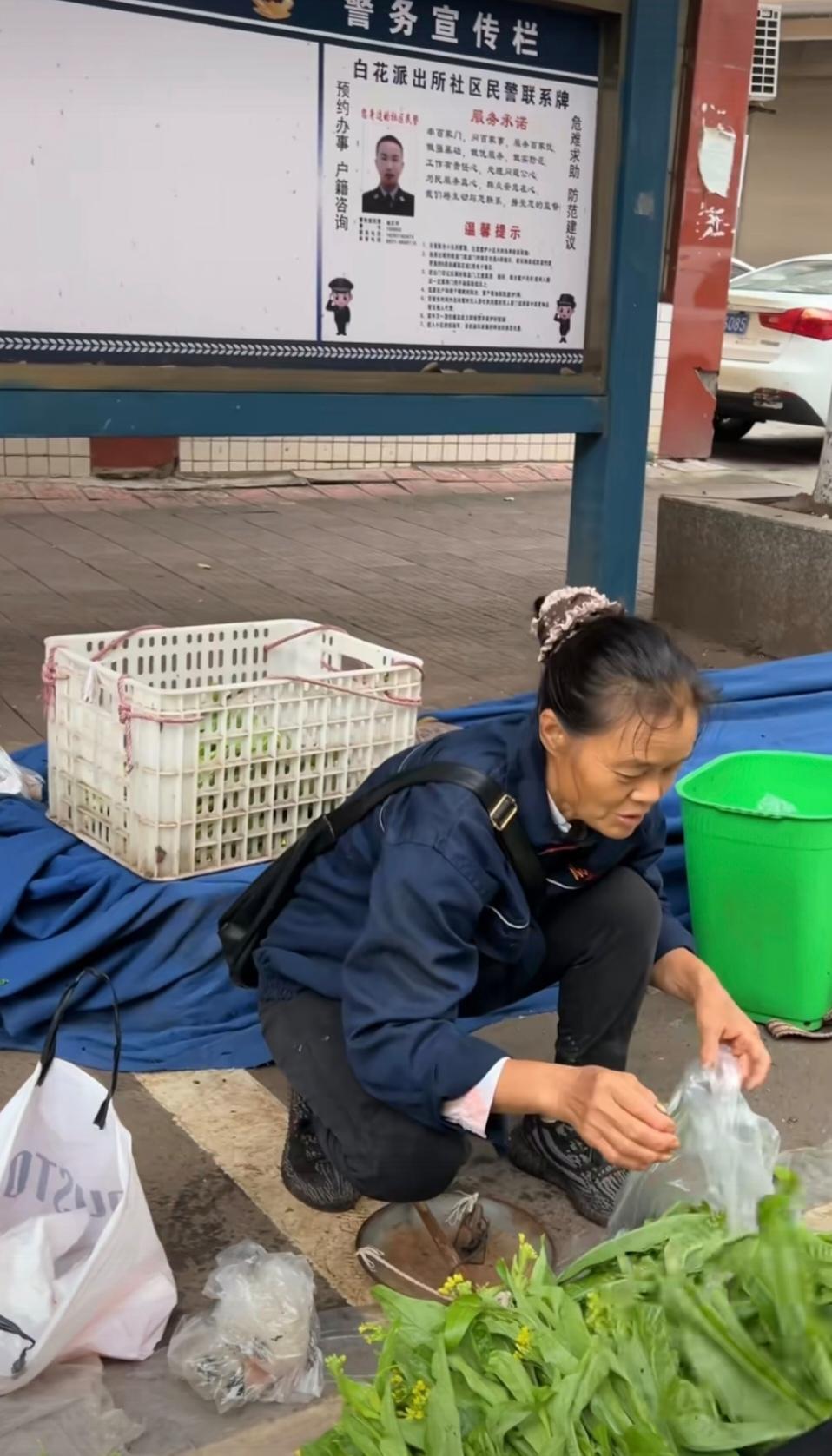 这是王二妹镜头下的三孃，也还行。三孃爱种菜那个账号，以前给大根孩子妈妈翠花拿走了