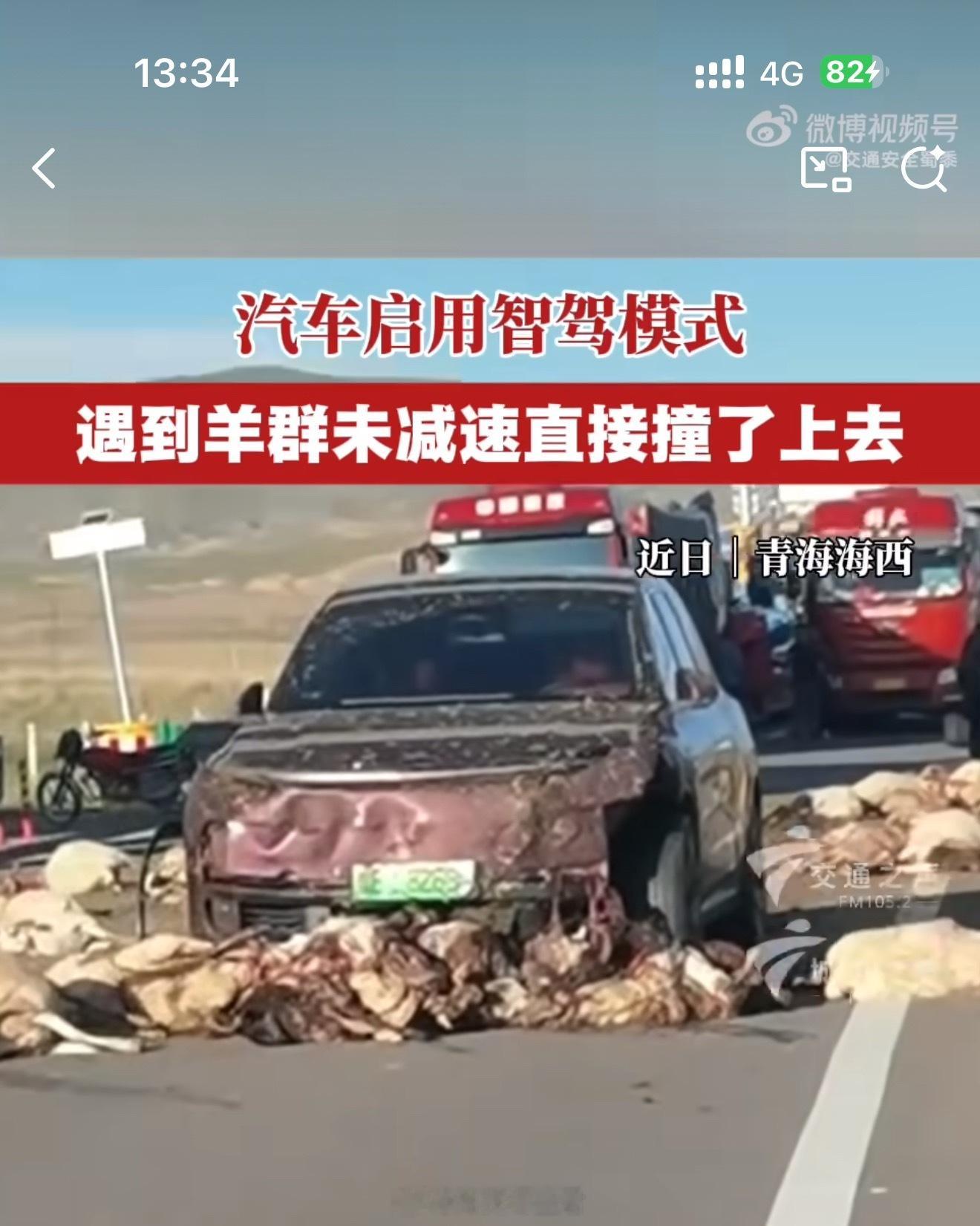 汽车启用智驾模式撞上羊群智能辅助驾驶按照道理来讲应该是能识别到的，何况还是十几只