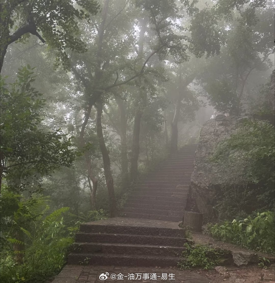 山里的天气就是怪，进山爬到一半就下雨还好有带去赶紧找个地方避避雨 