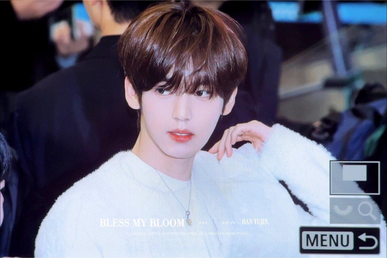 投稿六颜一 韩维辰 冬日里的一抹春色 