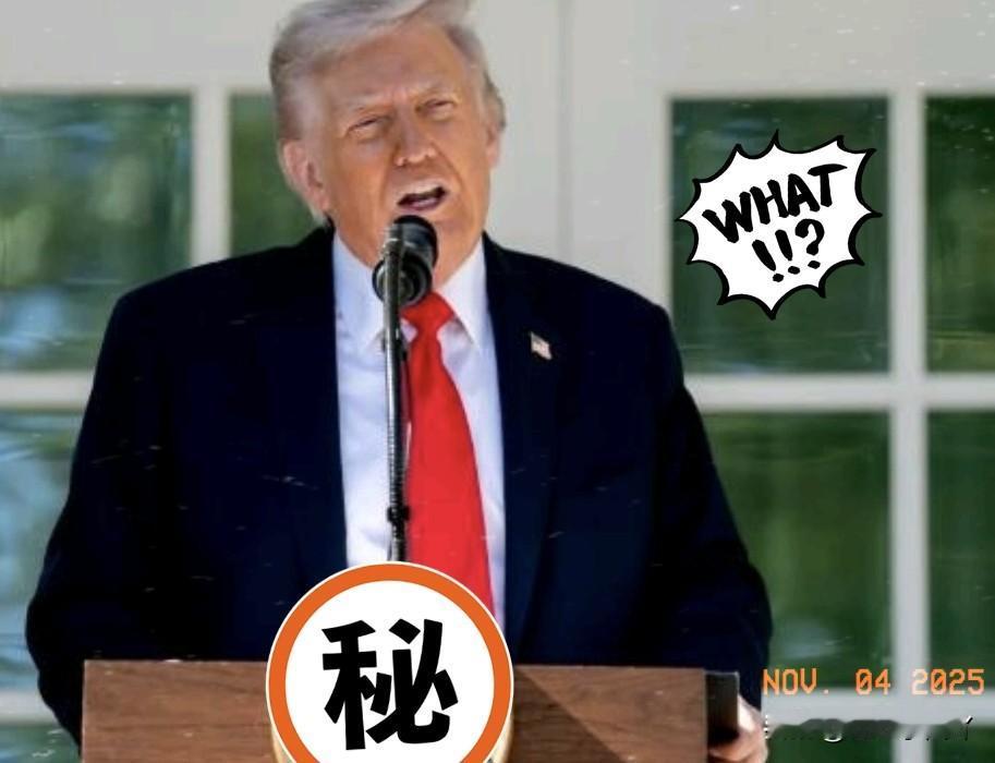 就在昨天，
特朗普宣布了！

11月3日，特朗普在相关采访中明确表示，美国绝不会