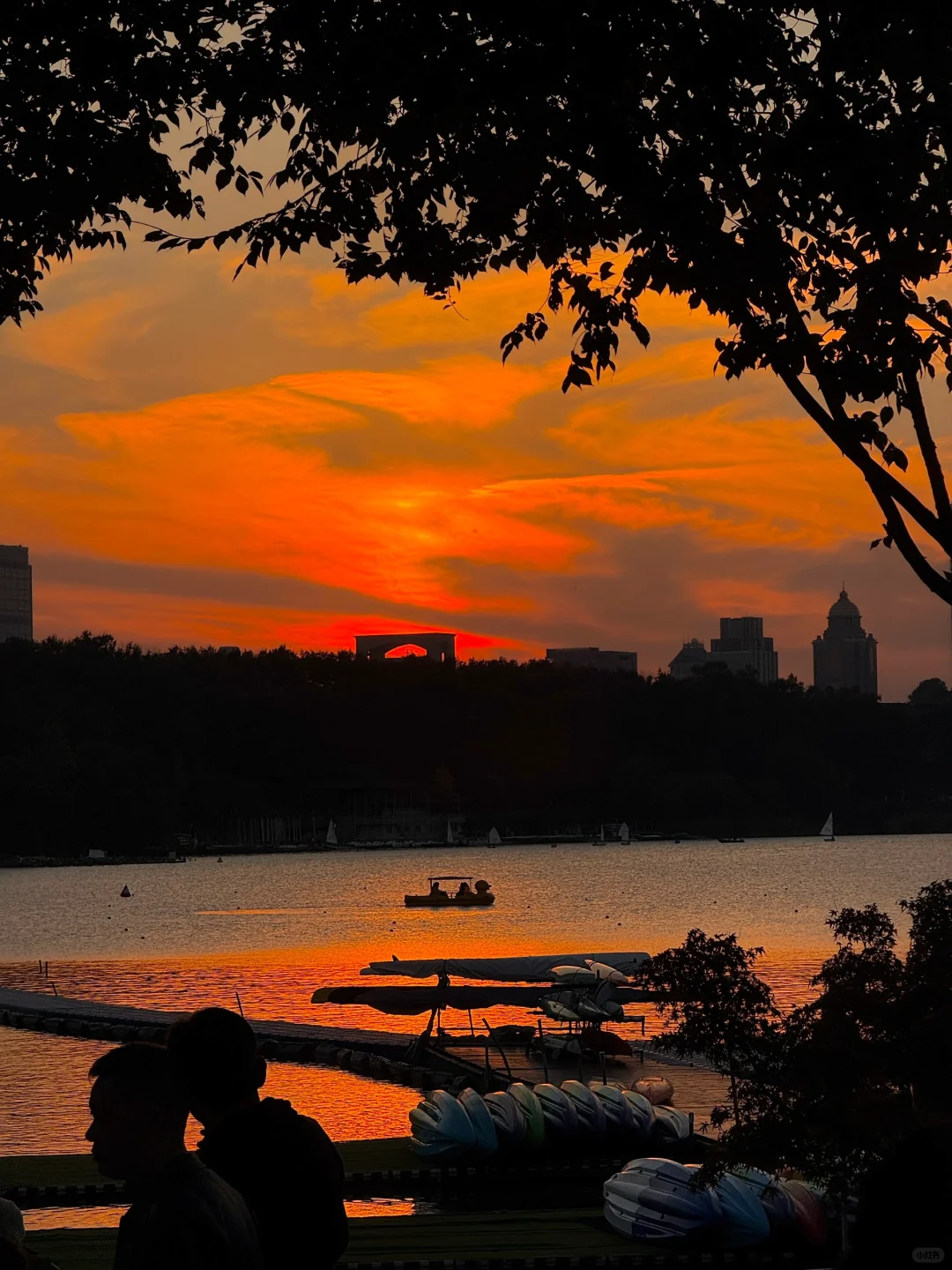 来玄武湖我只干一件事……（11.23日落实拍）