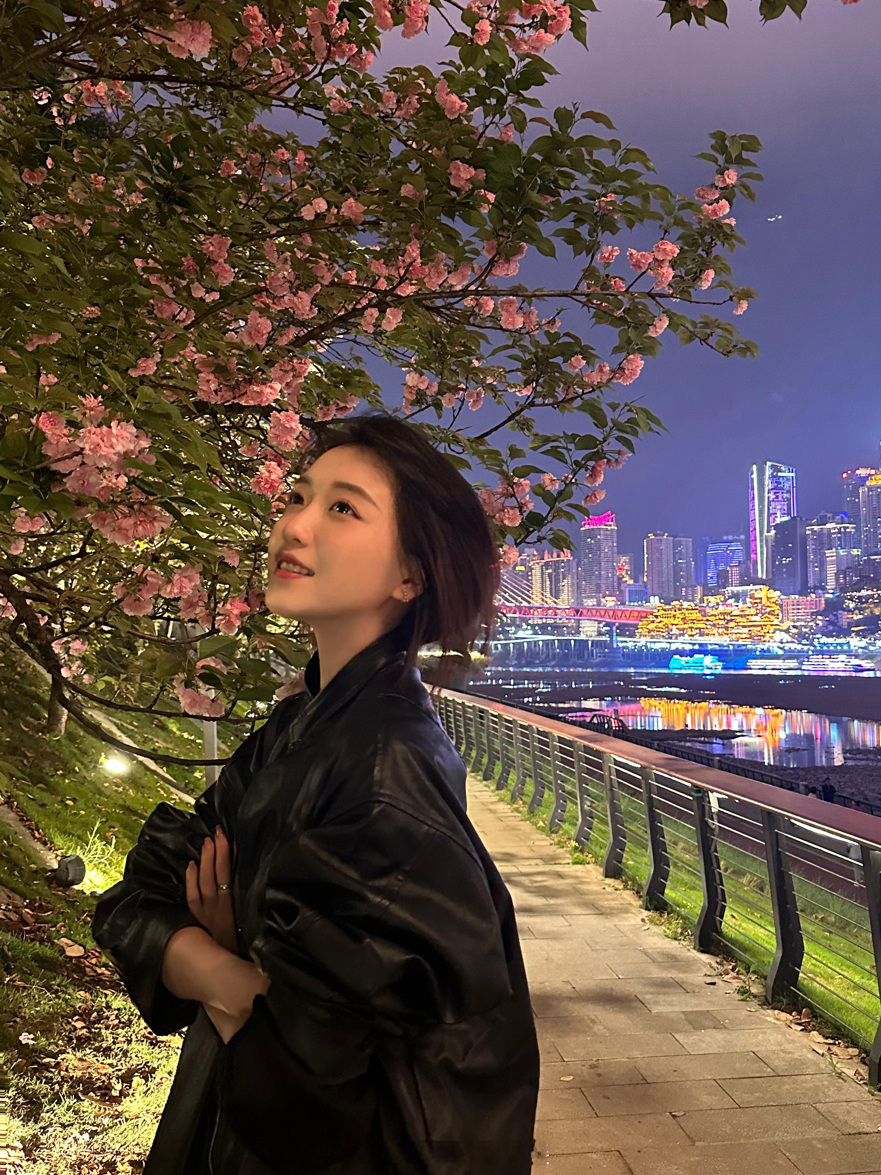 故乡的樱花开啦 ​​​