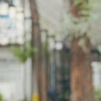 #张馨予[超话]#是击不垮的强心脏少女是从不被流言蜚语所左右的姑娘是向阳而生的女