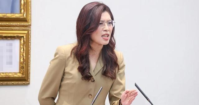 国民党党代表突然提案修党章2028年5月郑丽文必须卸任,不管胜选败选都得走人,这