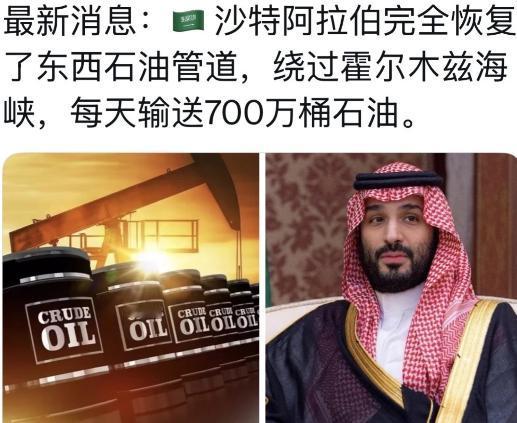 终于知道，巴基斯坦军队进驻沙特的主要目的和任务了。
 
巴基斯坦派出的不是防空部