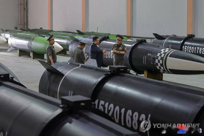 【韩国专家：朝鲜扩建设施 估已拥有150枚核武】海外新鲜事 韩国国防研究院（KI