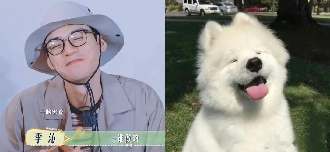 龚俊快被花少团哄成胚胎了  看了这一次《花儿与少年7》龚俊快被花少团哄成胚胎了，