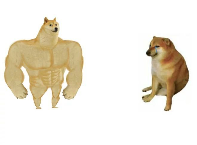 #知名梗图柴犬原型去世#右边这条著名的狗死了 ​​​