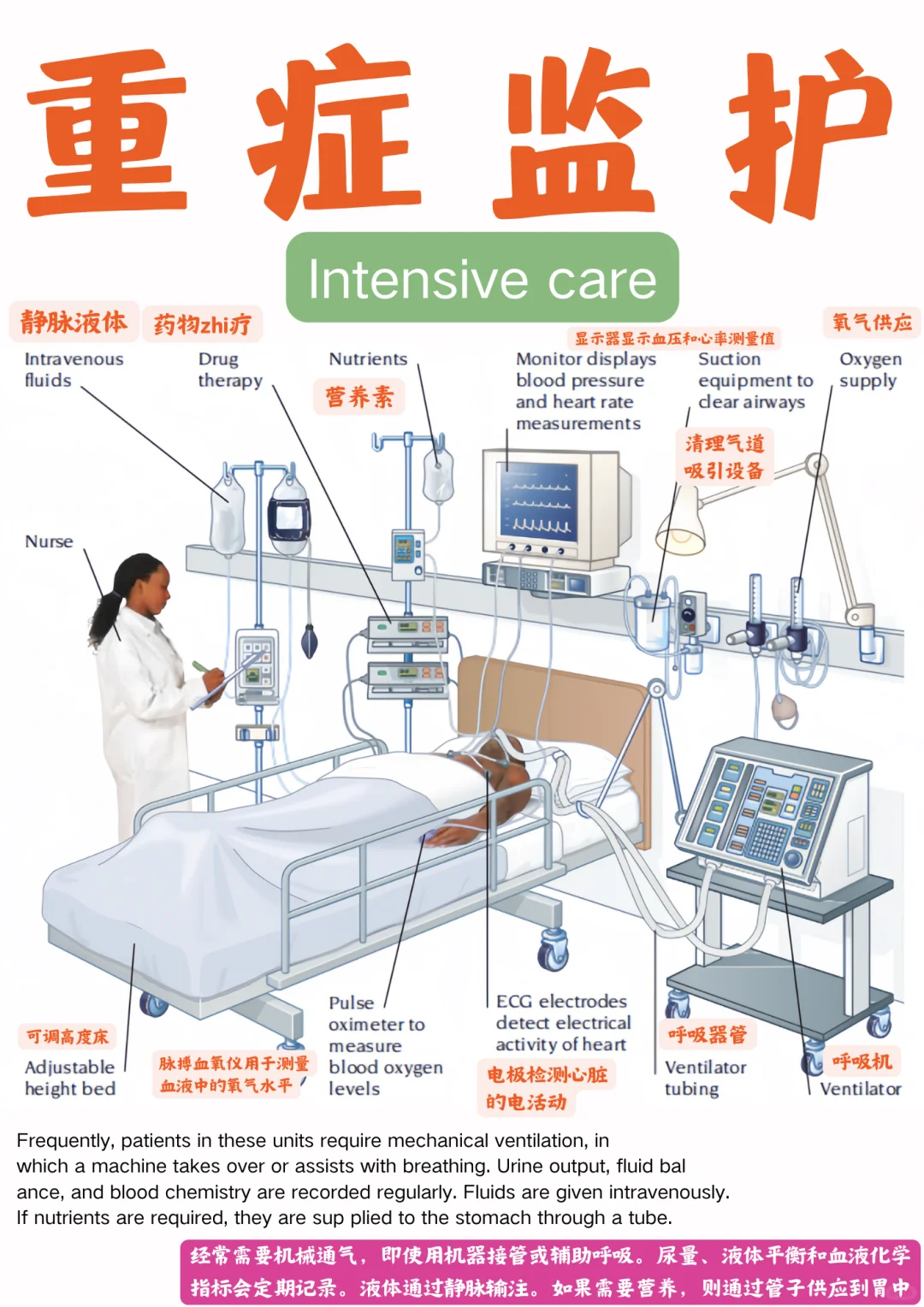 备考RN/重症监护！！学！！单词