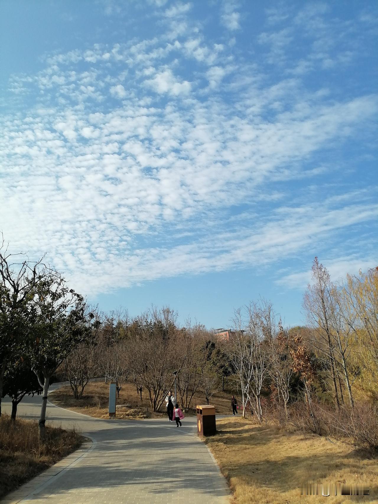 抬头看蓝天，人确实渺小如尘粒。在浩瀚宇宙里，人类的这点“智慧”又能算什么呢？光绕