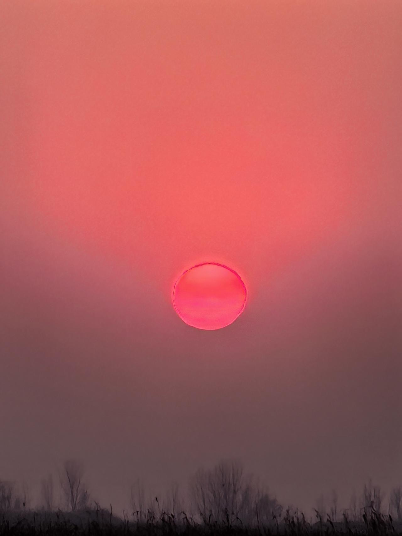 分享一张你最近随拍的照片