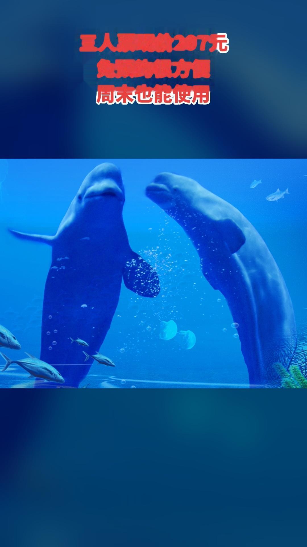 冰雪海洋世界，特卖新品，囤货好时机，三人票，景区官方、随时退·过期退