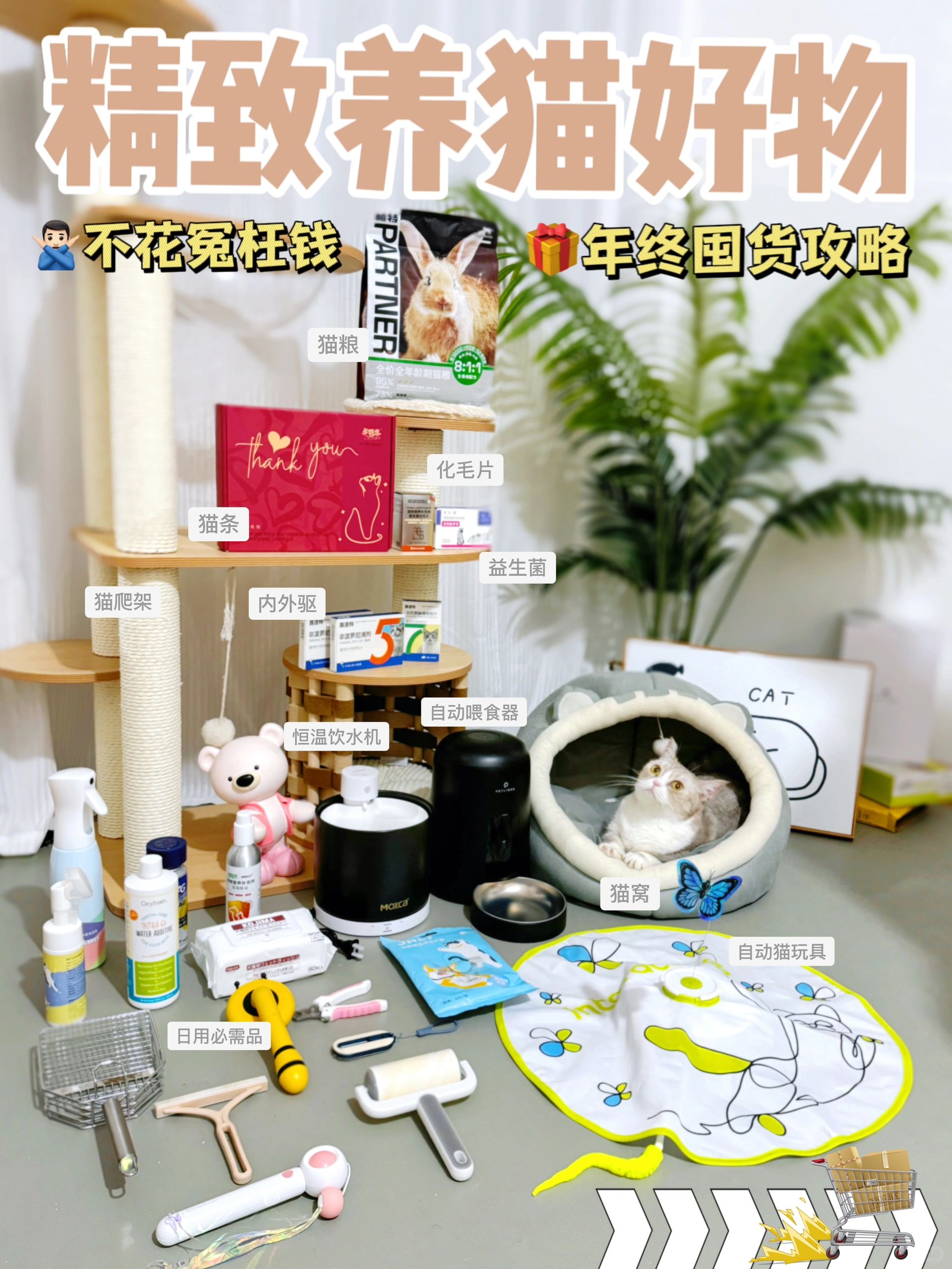 给猫咪准备的一份“年终奖”🎁