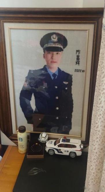 江苏一女子，儿子因公牺牲，她伤心欲绝，每天以泪洗面。一天，她在商场，突然看到儿子