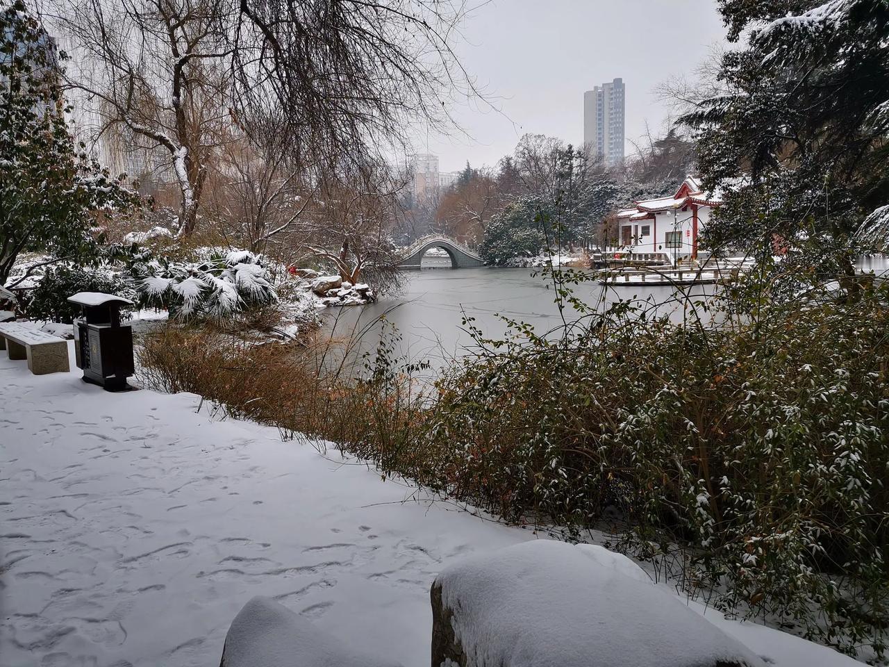 分享一张雪景图去年的雪景，正盼望着今年冬天的第一场雪。