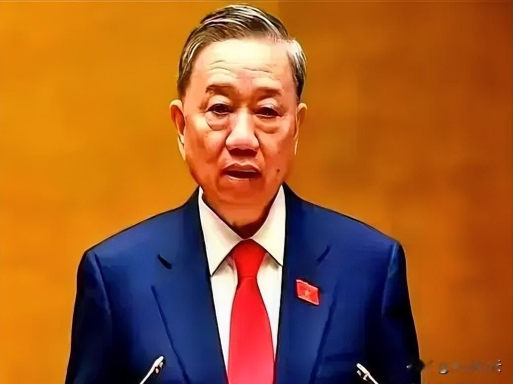 越南这次真是把“反复无常”演绎到了极致！日本驻越大使直接摊牌，百亿美元的宁顺2号