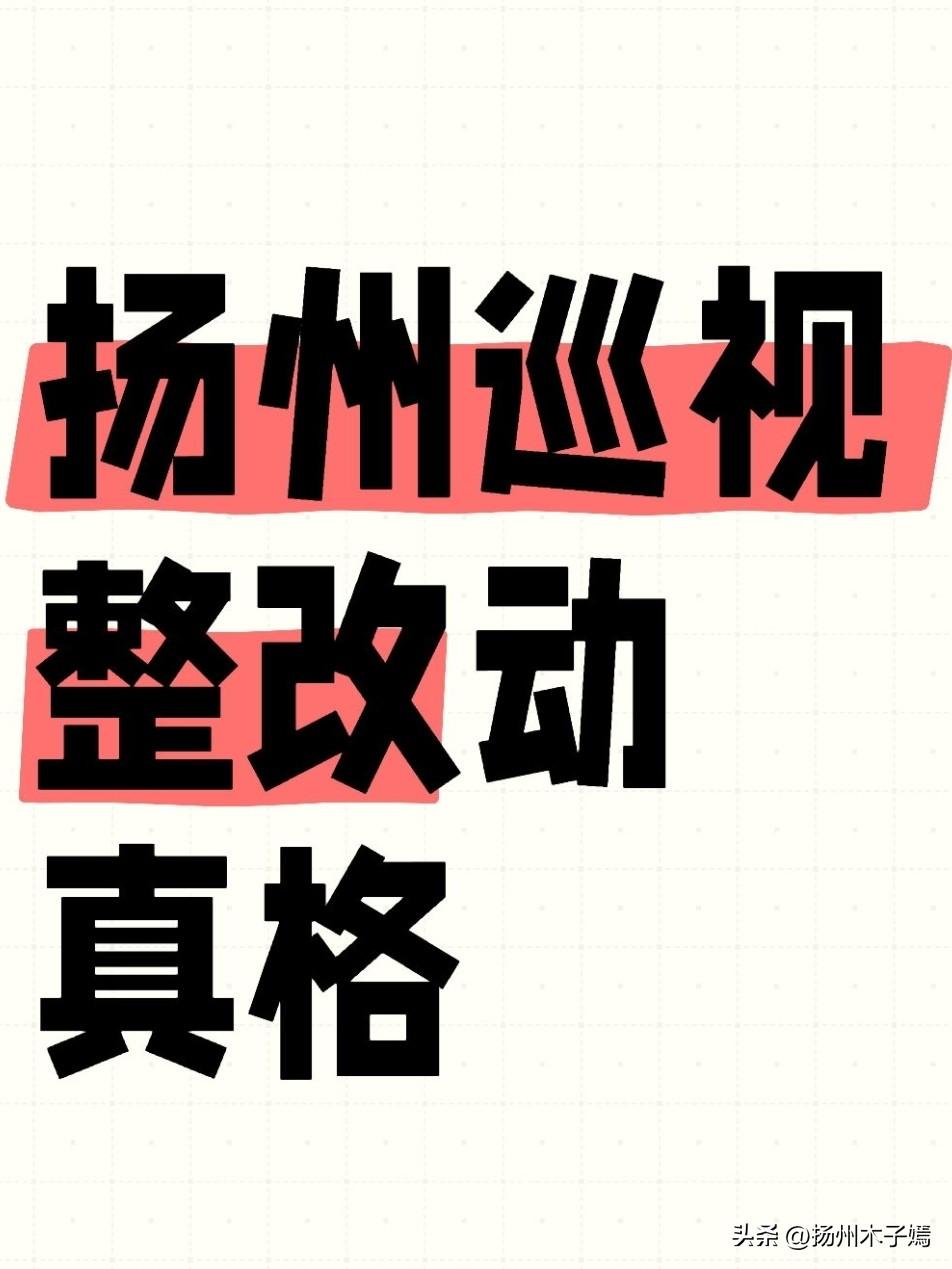 2026年2月28日，扬州市委召开省委巡视反馈意见整改落实推进会，市委书记王进健