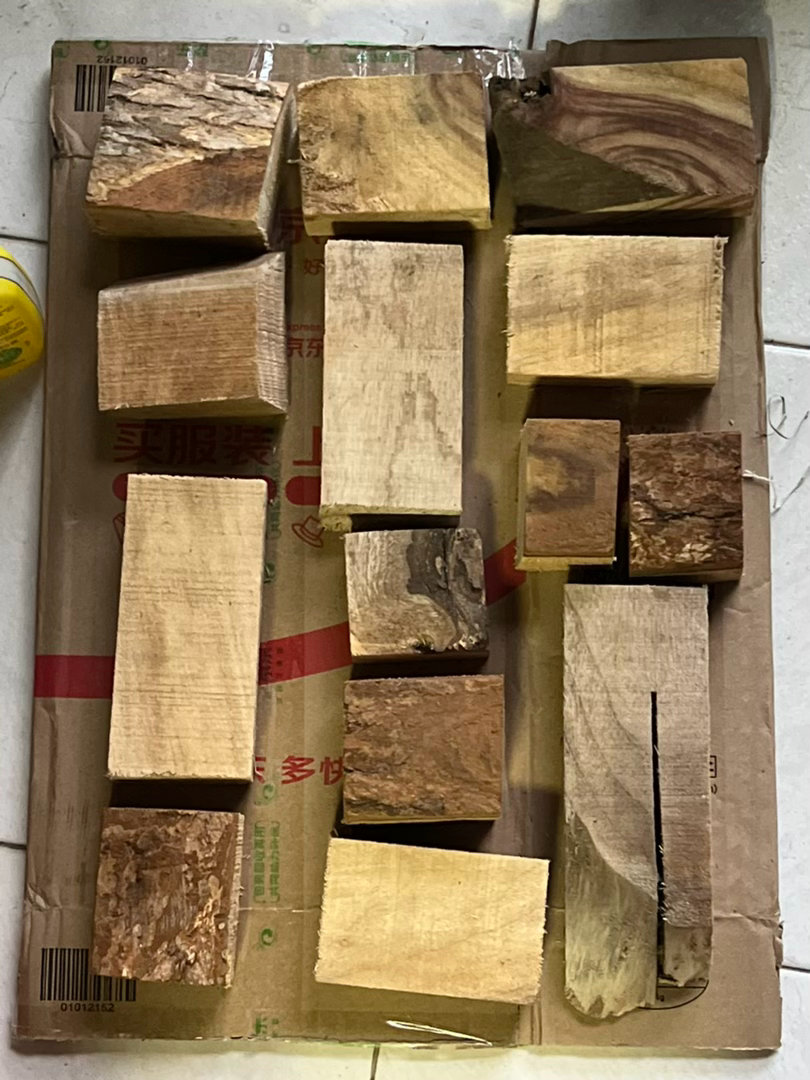 小时候害怕樟树是因为它夏天那些可怕的绿色剌虫，碰到皮肤会痕死……后来发现江南地区