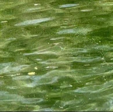 每日一善 路远未必难行，心定便可从容。人生就像登山，不在于一步登顶，而在于是否能