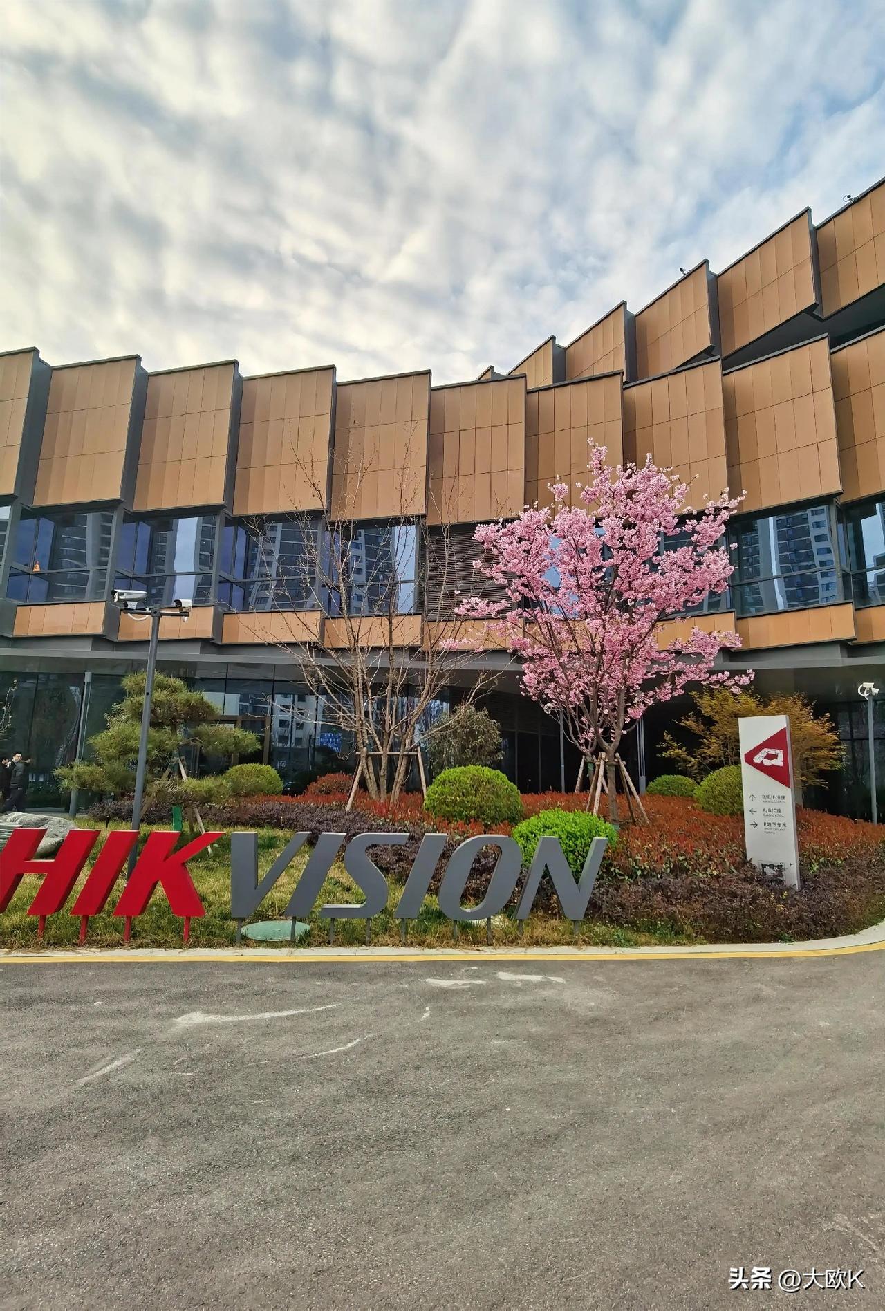 公司园区的花开了！
吃完饭在园区散步，
就被这棵盛放的樱花树惊艳到了！
粉粉嫩嫩