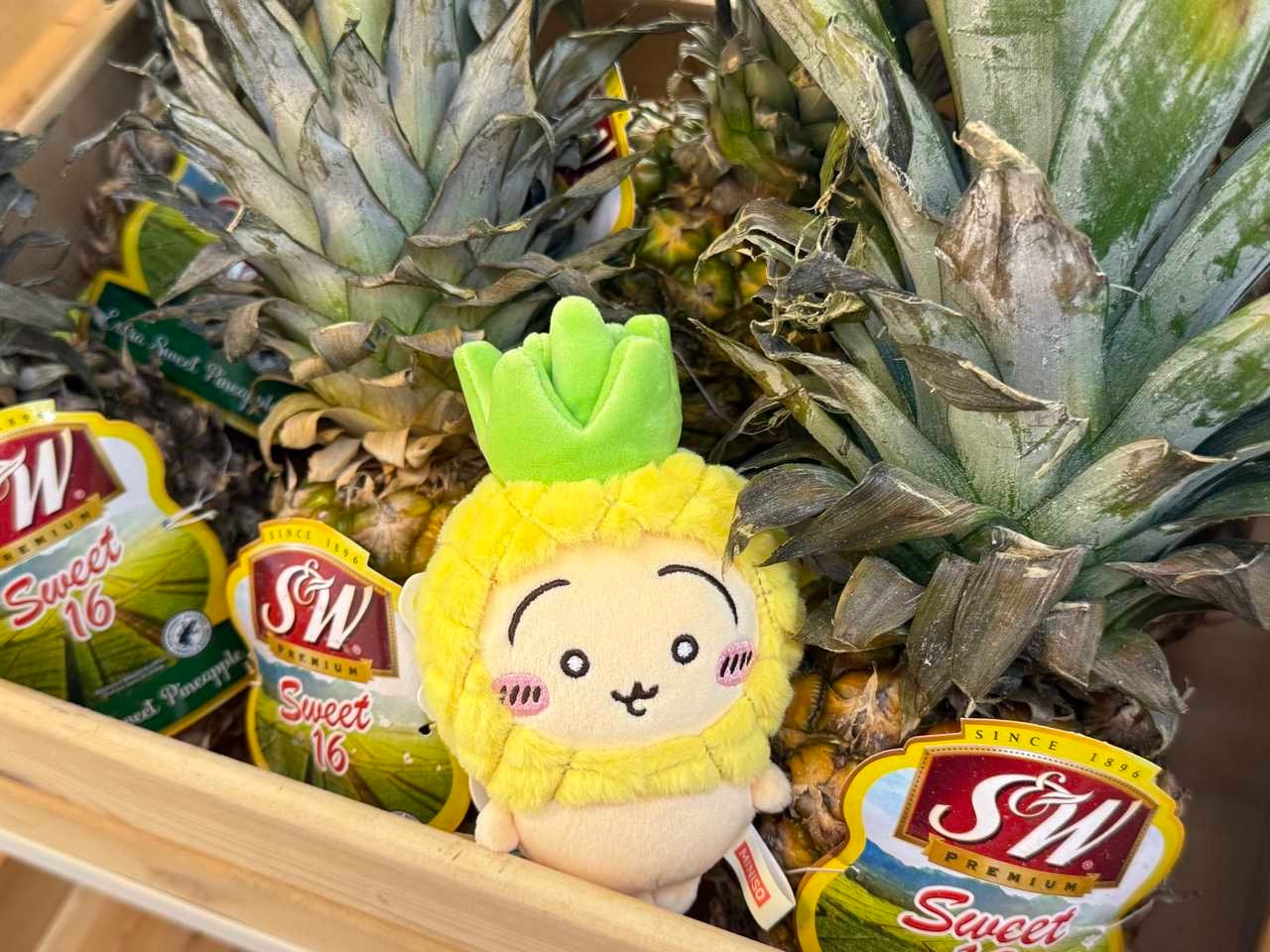 有人需要菠萝吗 ​​​