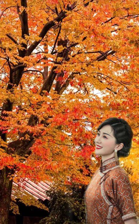 满目秋光，人与秋色两相醉。清秋入画，山河尽染秋光。