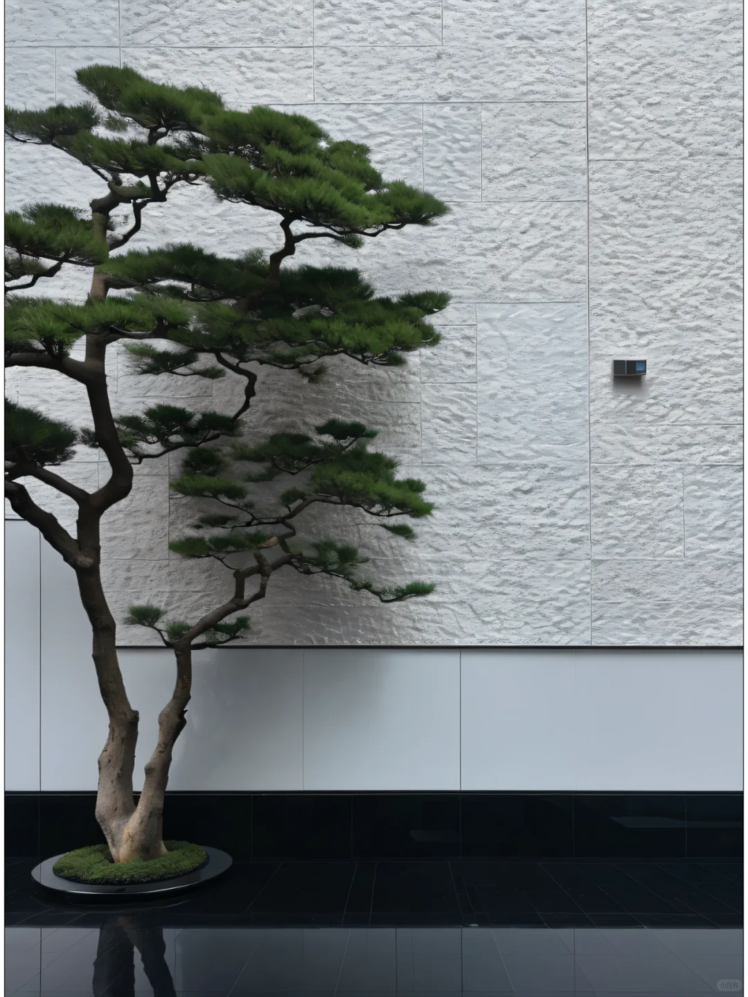 东方意蕴
