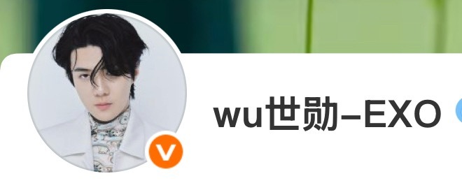 限定情侣v 