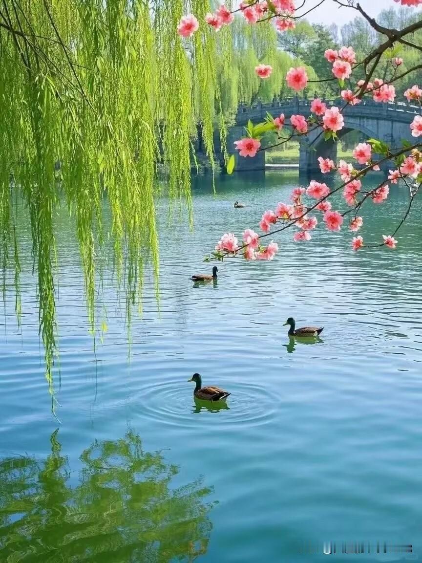 【浣溪沙·沐春】
 
风递莺声过柳塘，
露凝砚底墨生香，
一帘山色入诗行。
 