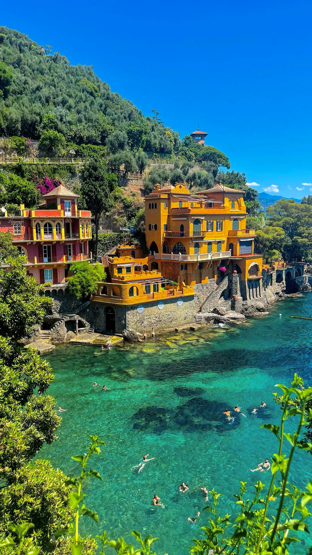 我对夏日长梦的执念还停留在Portofino🇮🇹还得是富豪们的私藏...