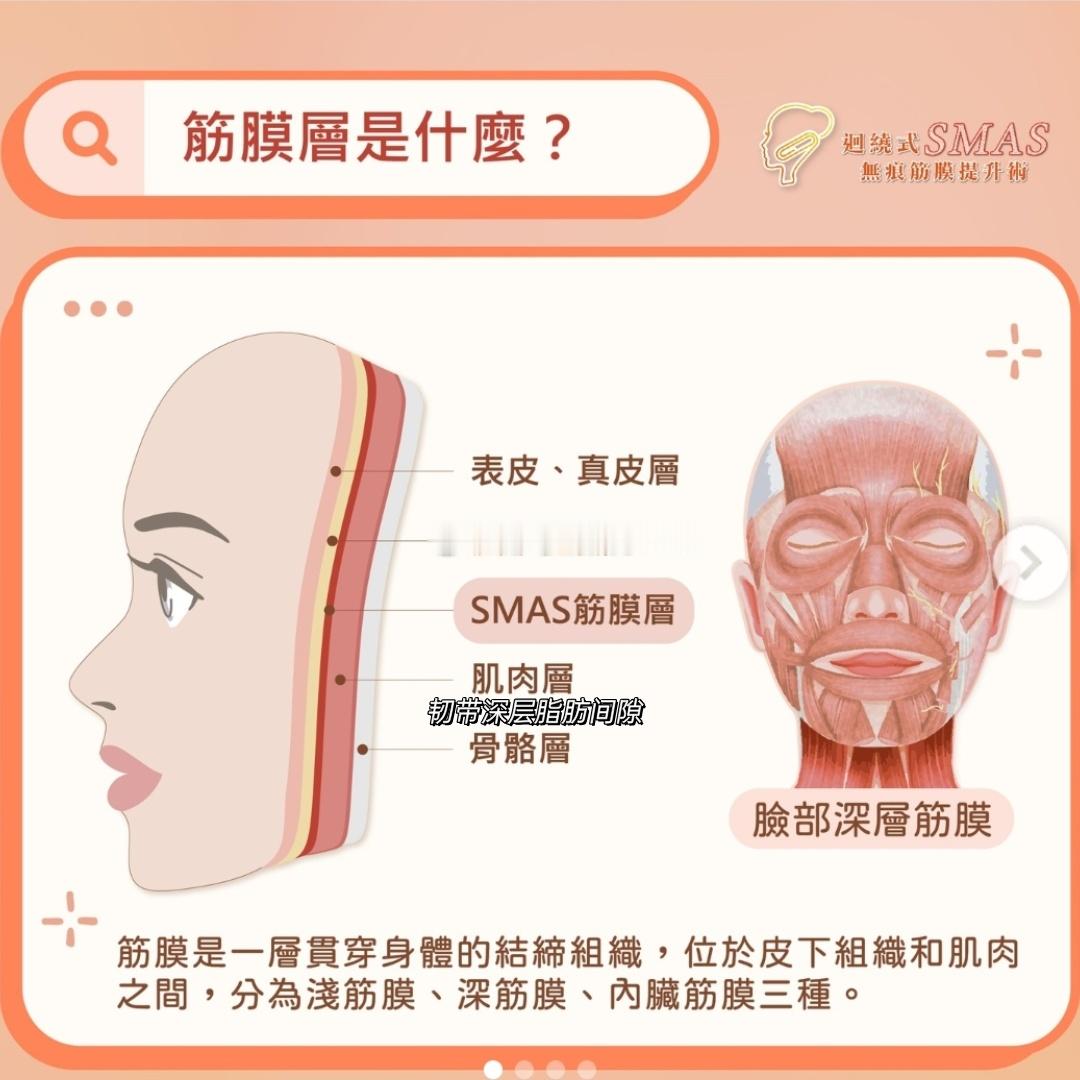 金敏喜面中苹果肌掉下来➕断层，是她衰老感的体现普通人认为皱纹=老，认为为法令纹是