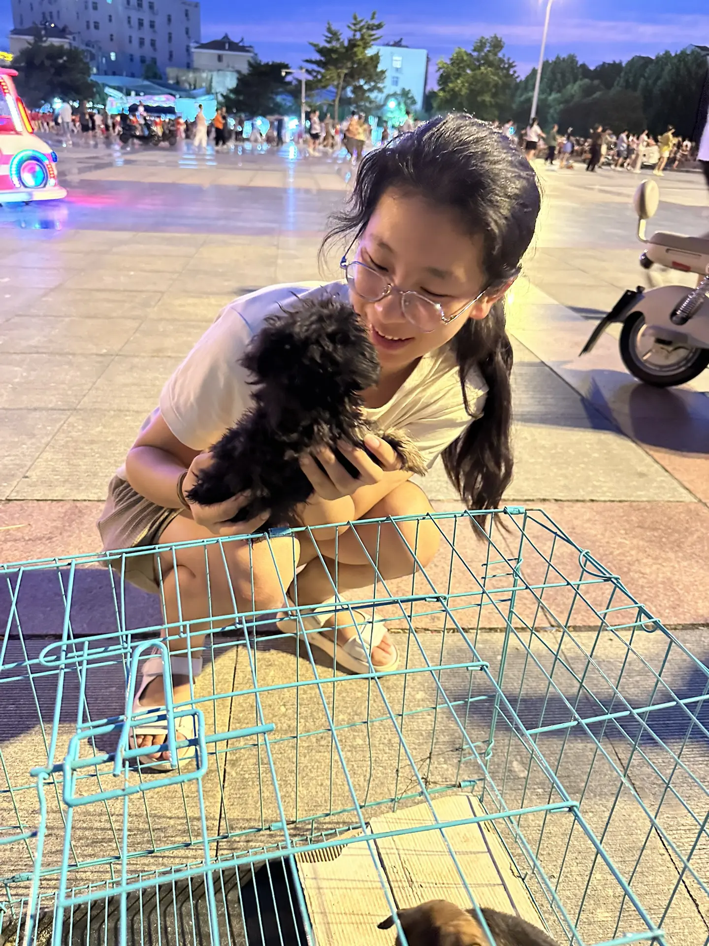 愿每一只小狗狗都能碰到一个爱他的主人