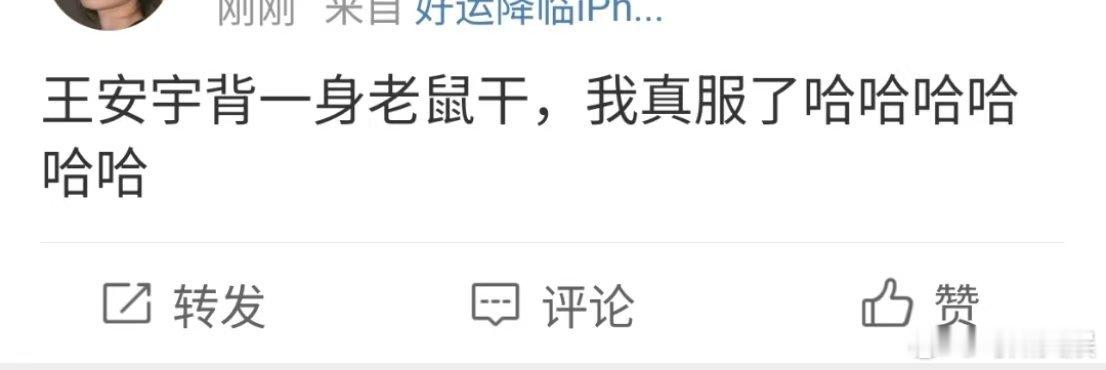 王安宇背出发团老鼠干王安宇带出发团老鼠干上台王安宇背着出发团的老鼠干，哈哈哈， 