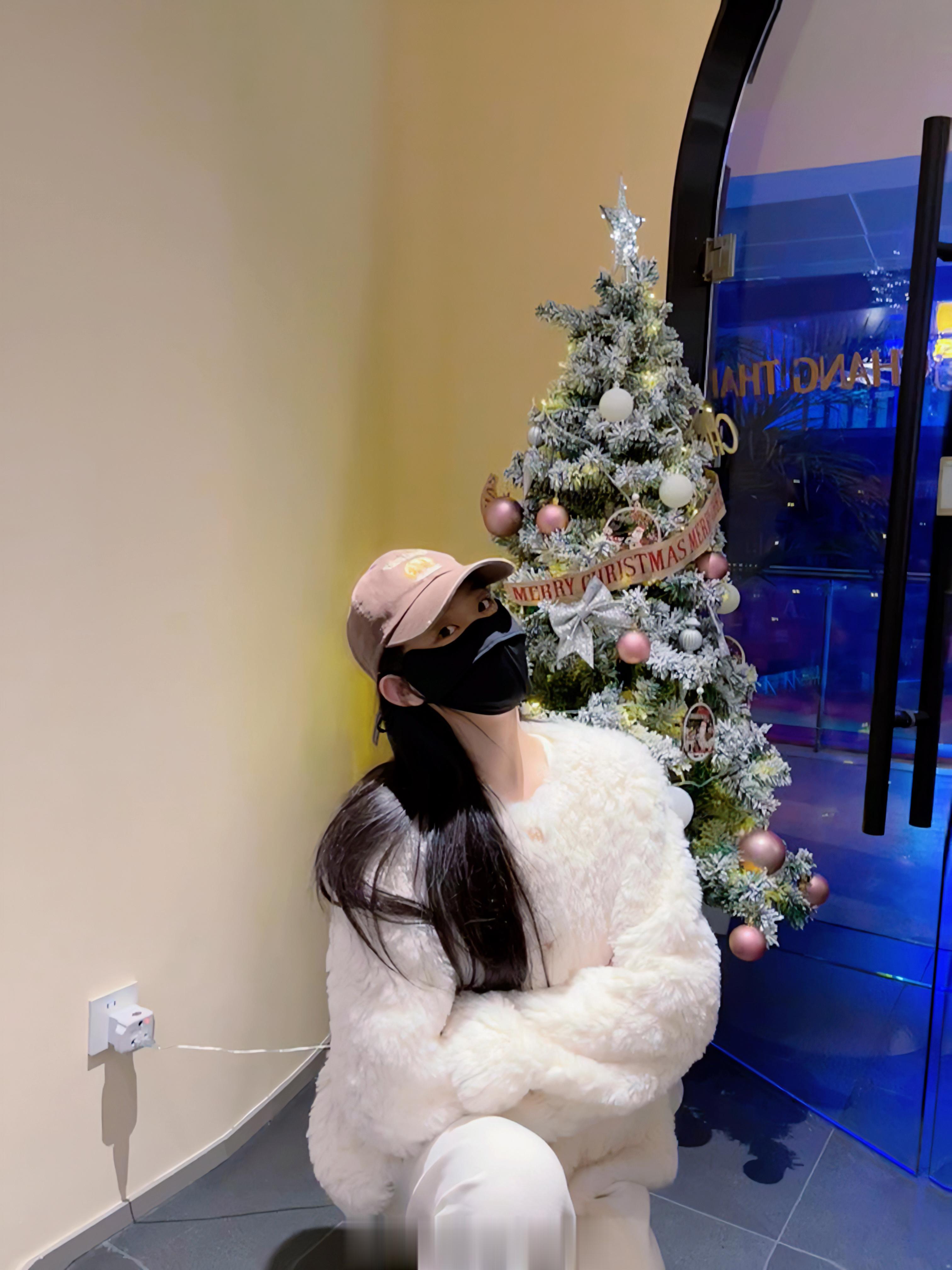 一条迟到的圣诞节post🎄💫🪄 收集漂亮圣诞树🫶🏻⁽⁽ଘ( ˊᵕˋ )