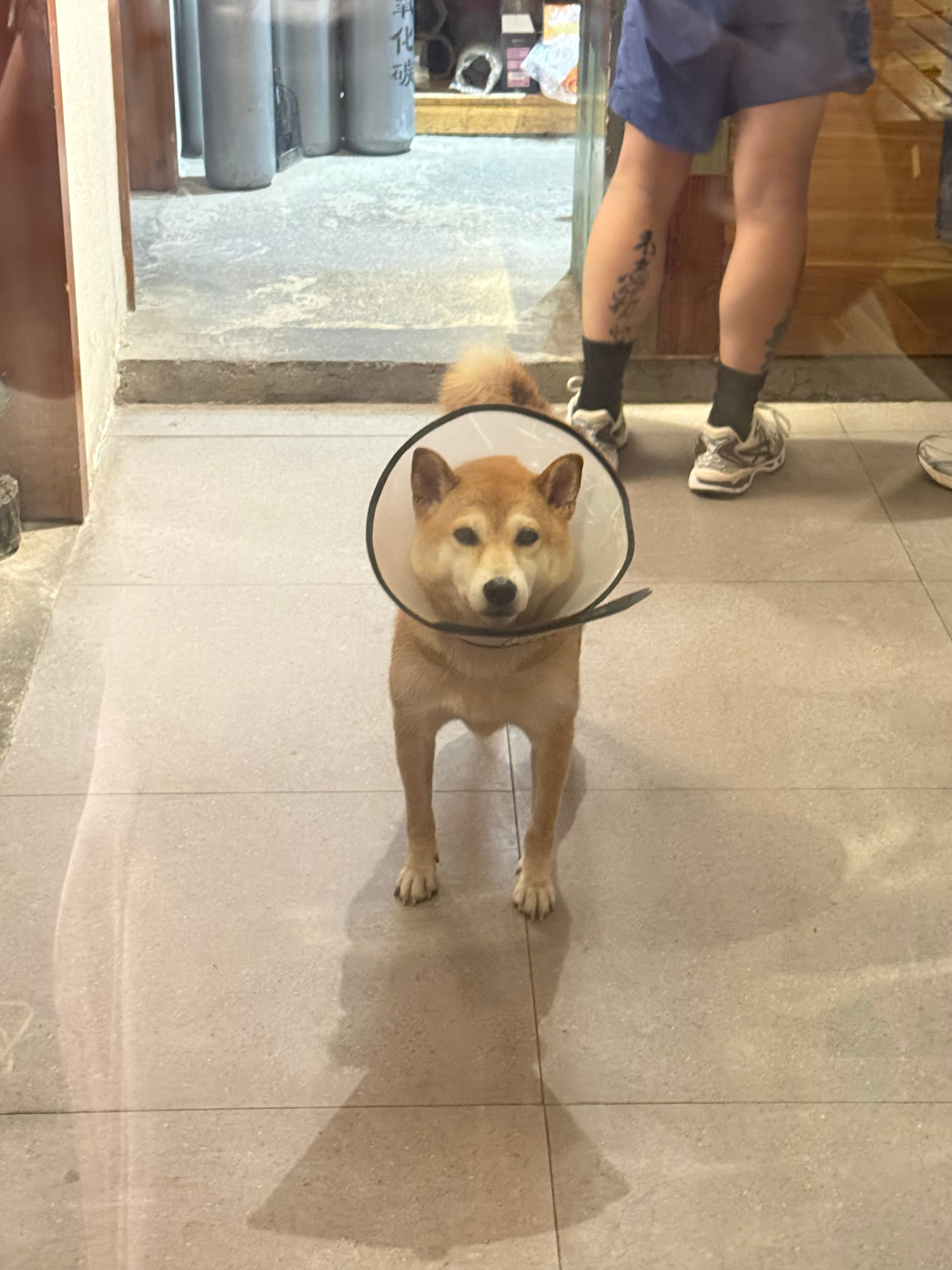 杭州萧山机场T3是真的🐶…第一次见安检后没有便利店的机场，买个瓶装饮料都没地方