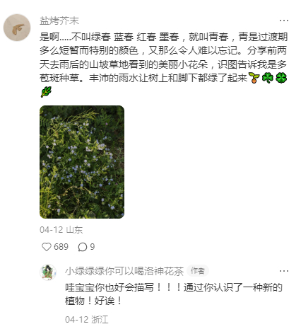 因为这就该是一场铺天盖地生机勃勃的春天啊！！ 