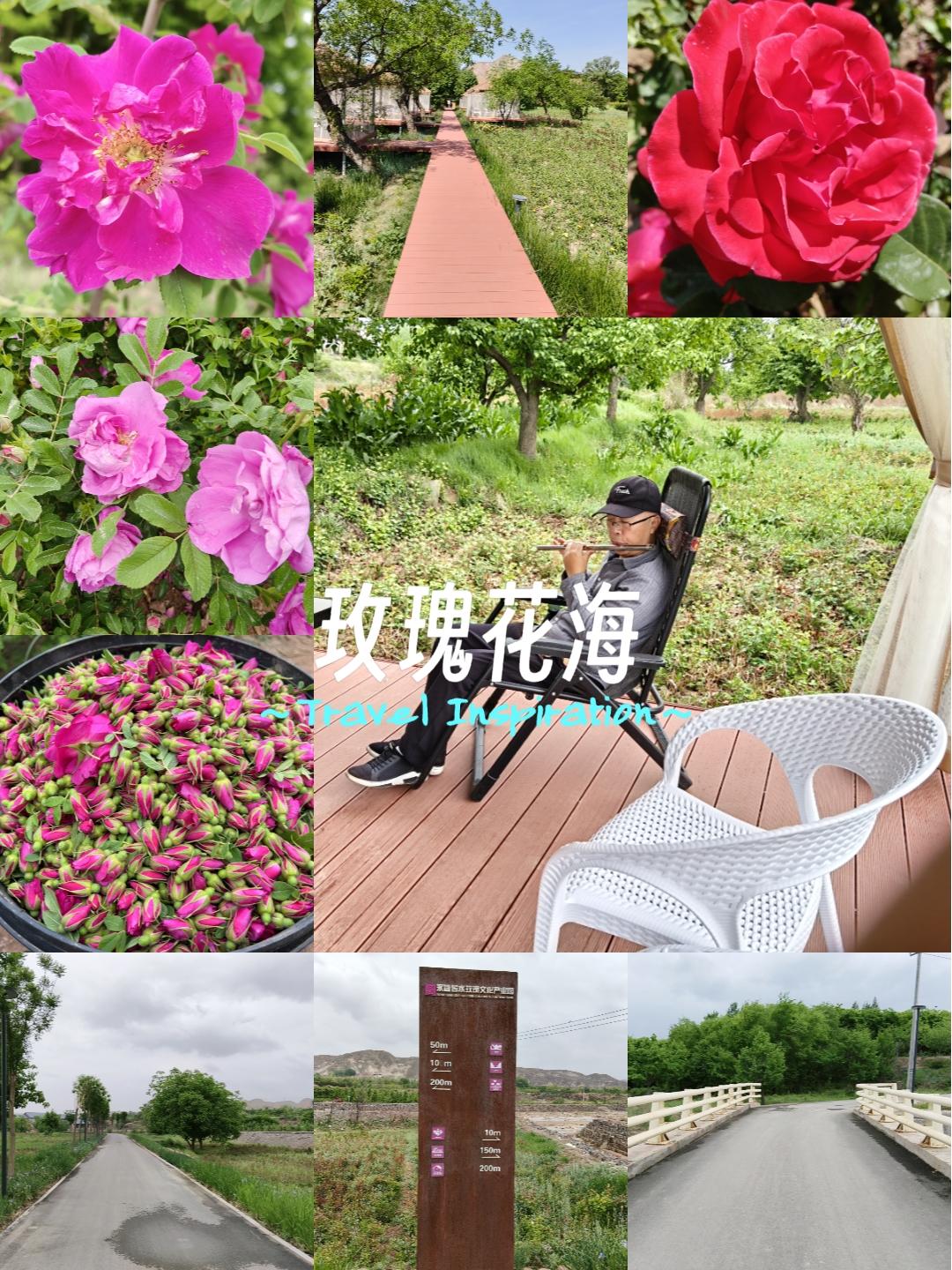 甘肃省兰州市永登县苦水镇玫瑰产业园
就是要对自己好一点，好好的放松放松，
结果开