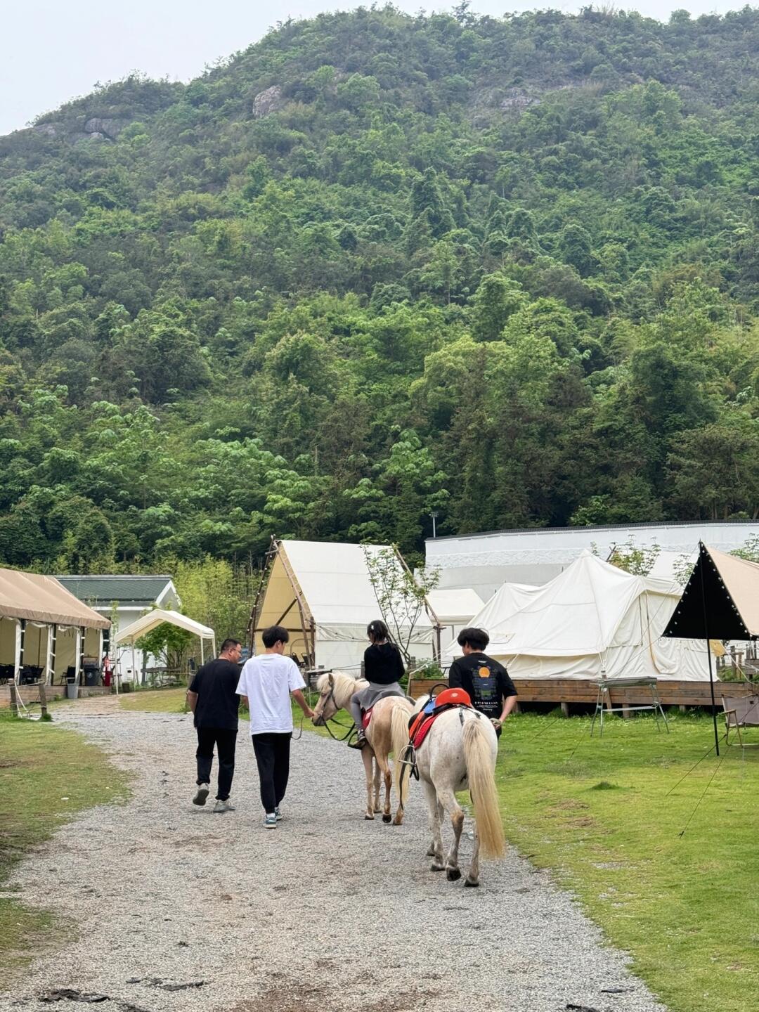 反向旅游｜在乐清骑马到处乱走……