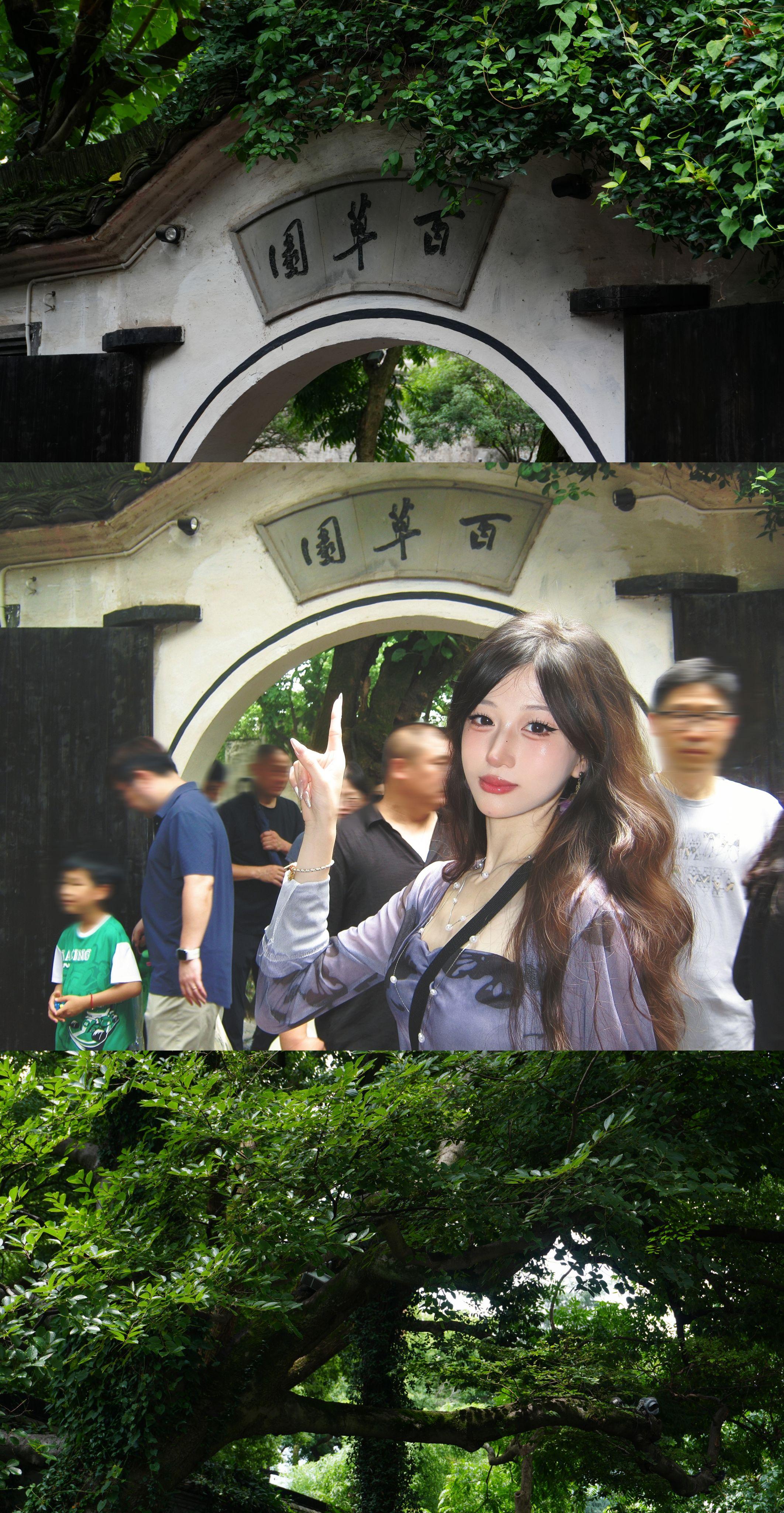 迅哥儿，你家好多人啊。