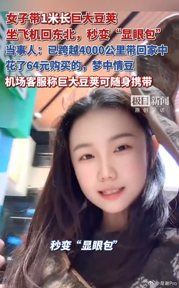 女子带1米长巨大豆荚坐飞机引围观 大蛇丸？这个回头率肯定拉满而且还可以随身携带？