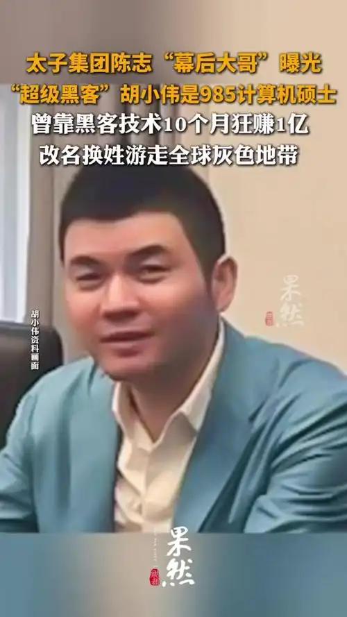 一件诡异的国际大案落锤了！柬埔寨太子集团电诈主脑胡小伟，没被引渡回国，反而被日本